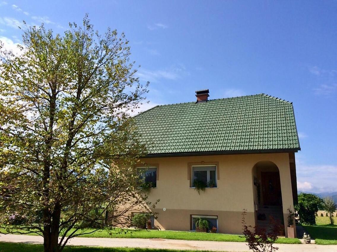 Entire Loft Close To Beautiful Logar Valley Recica ob Savinji Exterior photo